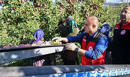 Kayseri'de elmalar bu kez böyle toplandı!