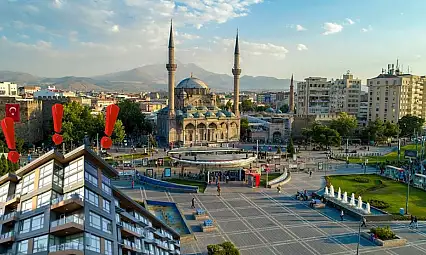 Kayseri'de evlerde görülmeye başlandı! Uzmanlar uyardı: Kesinlikle öldürmeyin