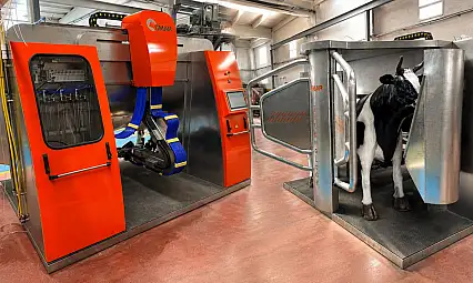 Kayseri'de genç girişimcilerden yerli robotik süt sağım sistemi