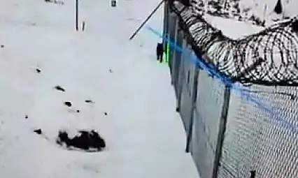 Kayseri'de görüldü! Tel örgülerinin içinden 3 gün sonra kurtarıldı