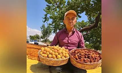 Kayseri'de hasat zamanı başladı! Bahçesi Malatya'yı aratmadı