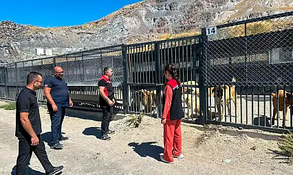 Kayseri'de salgın hastalıklara karşı alarm! Ekipler sahaya indi