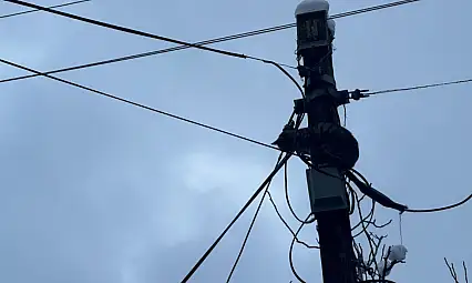 Kayseri'de ihbarın ardından Belediye Başkanı talimat verdi! Kısa sürede kurtarıldı