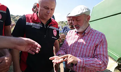 Kayseri'de ilk kez hasat edildi! Karabuğday çiftçiye yeni kapı açacak