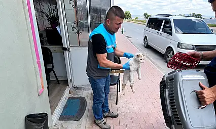Kayseri'de itfaiyeden kedi kurtarma operasyonu