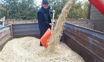 Kayseri'de kabak çekirdeğinde şaşırtan gelişme! Atığı bile değerlendirilecek