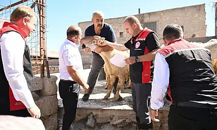 Kayseri'de kadın üreticiye tam destek! Koyunlar teslim edildi