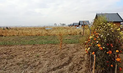 Kayseri'de kadınlar yetiştirdi, vatandaşlar bahçeden aldı