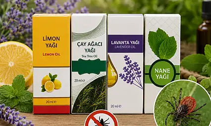 Kayseri'de keneye doğal çözüm! Kokusunu alan yaklaşamıyor!