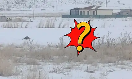 Kayseri'de köpeği parçalamıştı! Bir ilçede daha görüldü