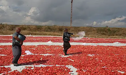 Kayseri'de kurutuluyor, dünyaya satılıyor
