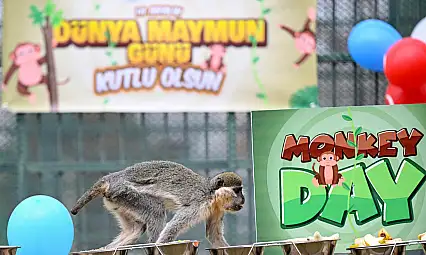 Kayseri'de muzlu kutlama