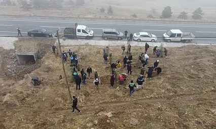 Kayseri'de o bölgenin rengi değişiyor! Bin 200 tane ekildi