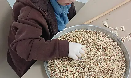 Kayseri'de öğrenciler mantı sıktı