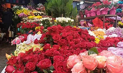 Kayseri'de öğretmenler günü çiçekleriyle renkleniyor