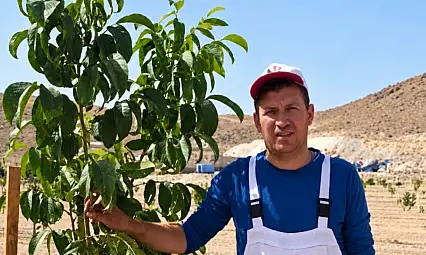 Kayseri'de olmaz denilen yerde 15 ton ürettiler!