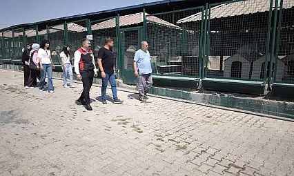 Kayseri'de salgın hastalık tehlikesine karşı kritik hamle!
