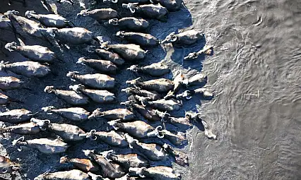 Kayseri'de sıcaklıklar -15 dereceyi gösterdi! Hürmetçi Sazlığı'ndaki manzara büyüledi