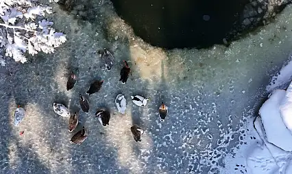 Kayseri'de sular buz tuttu