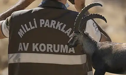 Kayseri'de yaban keçisi avlayan şahsa rekor ceza!