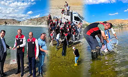 Kayseri'de yavru sazanlar göl ve göletlerle buluştu