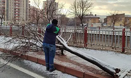 Kayseri'de yaya ve araç güvenliği için çalışma başladı!