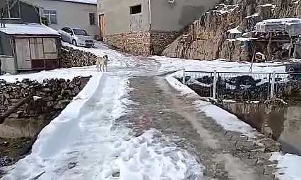 Kayseri'deki bu köprü tehlike saçıyor