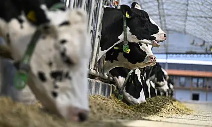 Kayseri'deki işletmelerde yeni dönem başlıyor