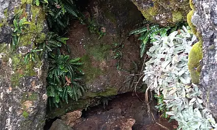 Kayseri'deki mağaradan dumanlar yükseldi! Gerçek yaklaşınca ortaya çıktı