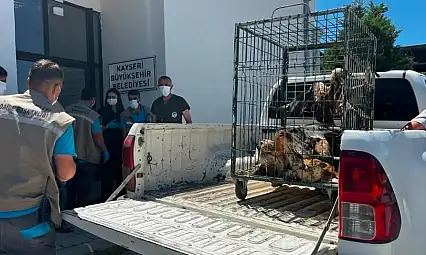 Kayseri'den doğaya en güzel teslimat