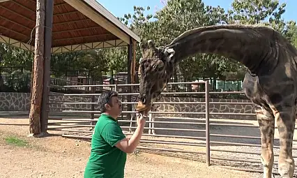Kayseri'den Gaziantep'e zürafa desteğinin ardından bakın ne oldu?