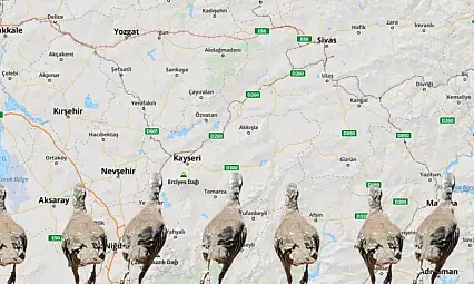 Kayseri'nin çevresinde alarm! 11 ölümün ardından avcılar salındı