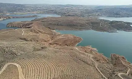 Kayseri'nin denizi yeşilleniyor: 5 milyon fidan toprakla buluşuyor.
