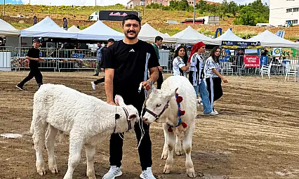 Kayseri'nin en güzel buzağısı belli oldu!