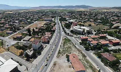 Kayseri'nin o ilçesinde 466 sokak hayvanı bakın nereye teslim edildi?