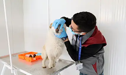 Kayseri'nin takdir toplayan merkezi! 500 cana yuva oldu