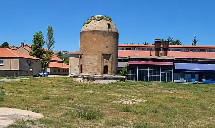 Kayseri'nin tarihi mirası otlar arasında kaldı