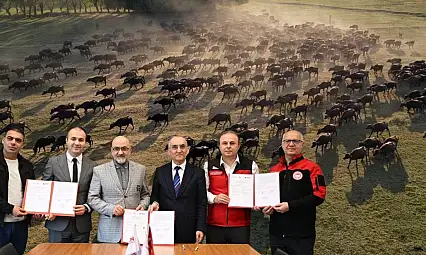 Kayseri o sektörde söz sahibi olacak! 'Şehirden köye dönüş başlayacak'