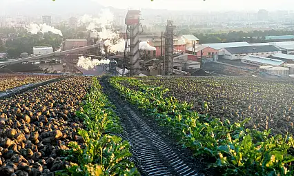 Kayseri Şeker'e kötü haber: Çıkarıldı!