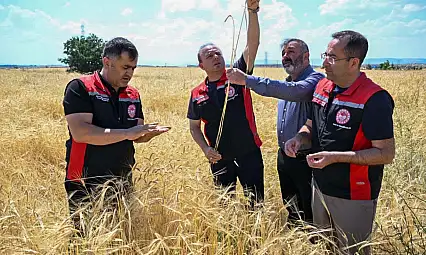 Kayseri Tarım ve Orman İl Müdürlüğü formülü verdi!