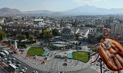 Kayseri ve çevresinde kene alarmı! En riskli alanlar belli oldu