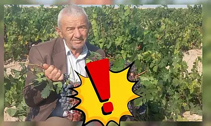 Kayseri'ye 112 kilometre uzaklıktan geliyor! Pazarın gözdesi oldu