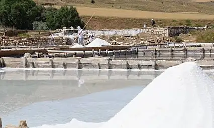 Kayseri'ye 4 bin ton beyaz altın alınacak!