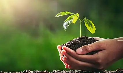 Kayseri'ye binlerce yeni fidan geliyor