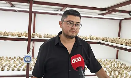 Kayserili üretici altın değerindeki bitkinin faydalarına değindi!