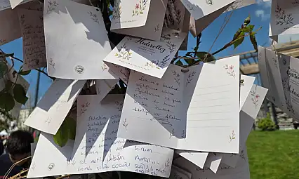 Kayserililerin dilekleri belli oldu!