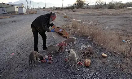 Kete ve simitle 8 mahallenin hayvanlarını besliyor