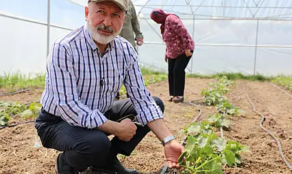 Kocasinan'a 60 bin sebze ekildi!