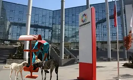 Kocasinan Belediyesi'nden can dostlarına destek