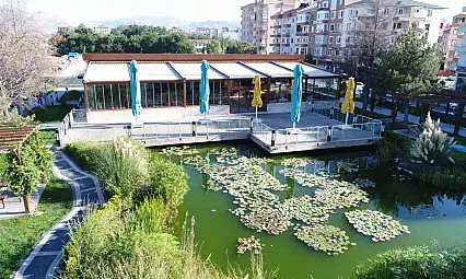 Kocasinan Belediyesi'nin o kafesindeki gözdeler